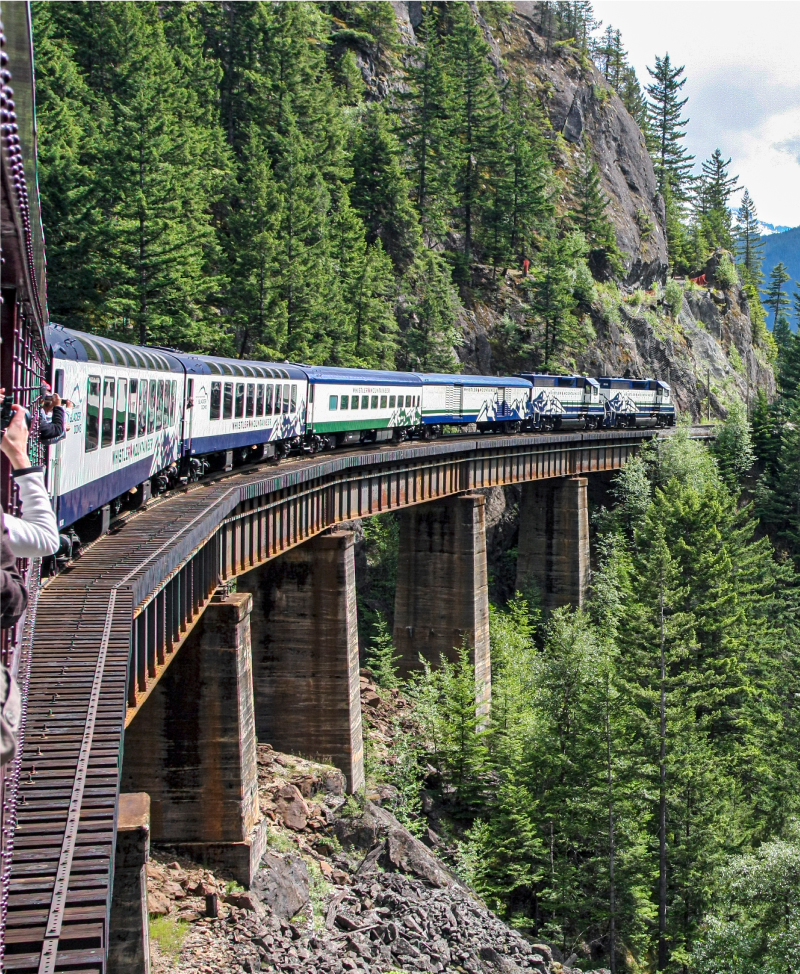 A train going through a forest. 